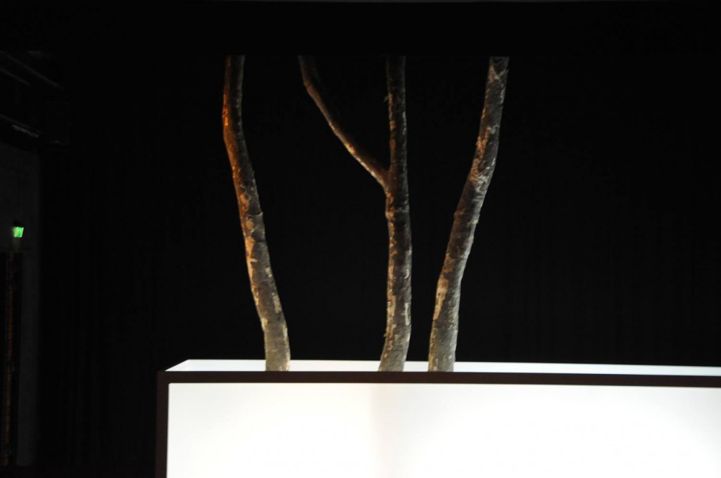 Decor-platanen voor de voorstelling 'Hunker" van Tatjana van Walsum.