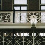 'Hotel de witte Zwaan' Decor gevel